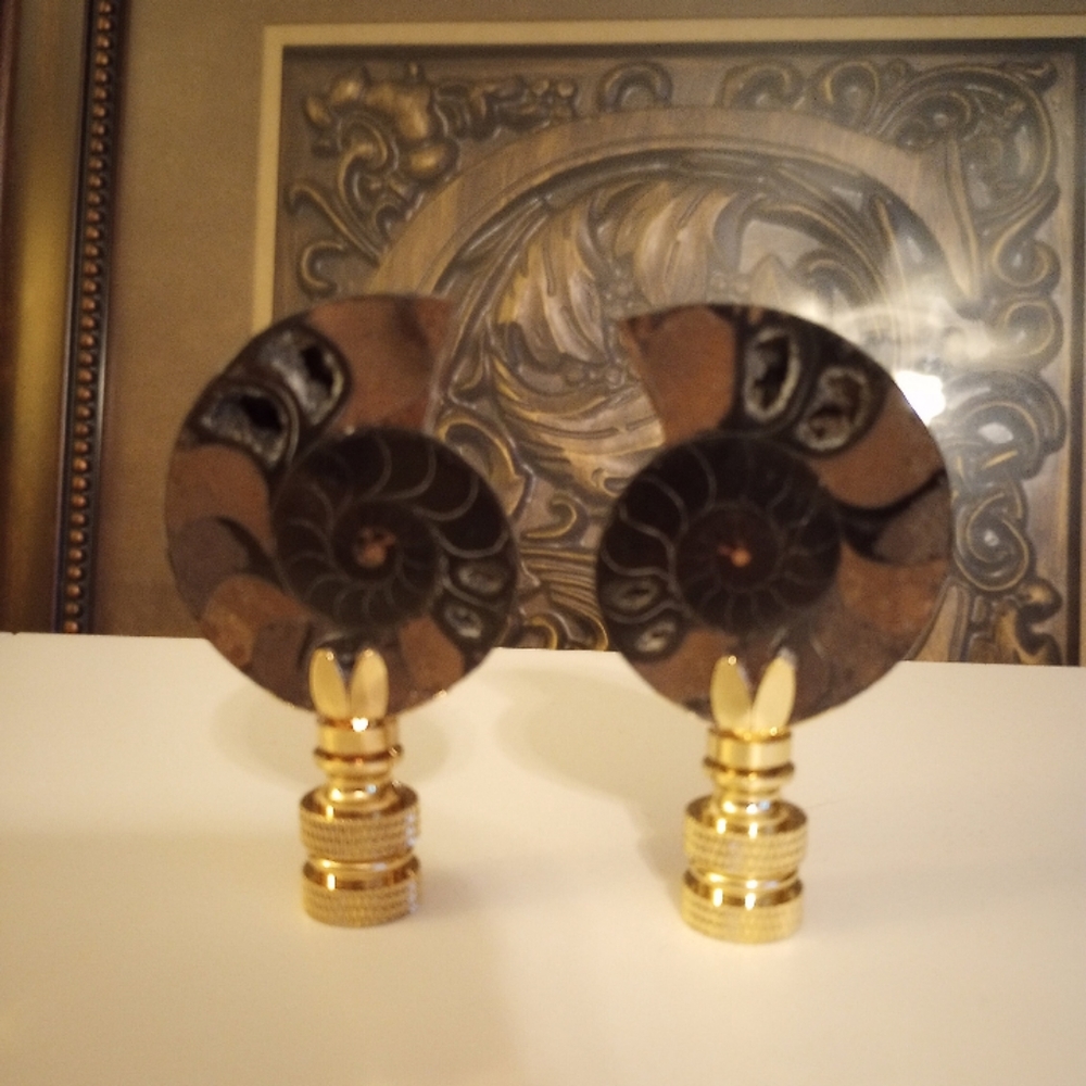 Handmade genuine rare black ammonite fossil lamp finial pair will separate